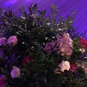 Meet your Posher, Olga